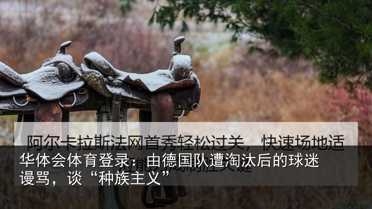 华体会体育登录:由德国队遭淘汰后的球迷谩骂,谈“种族主义”