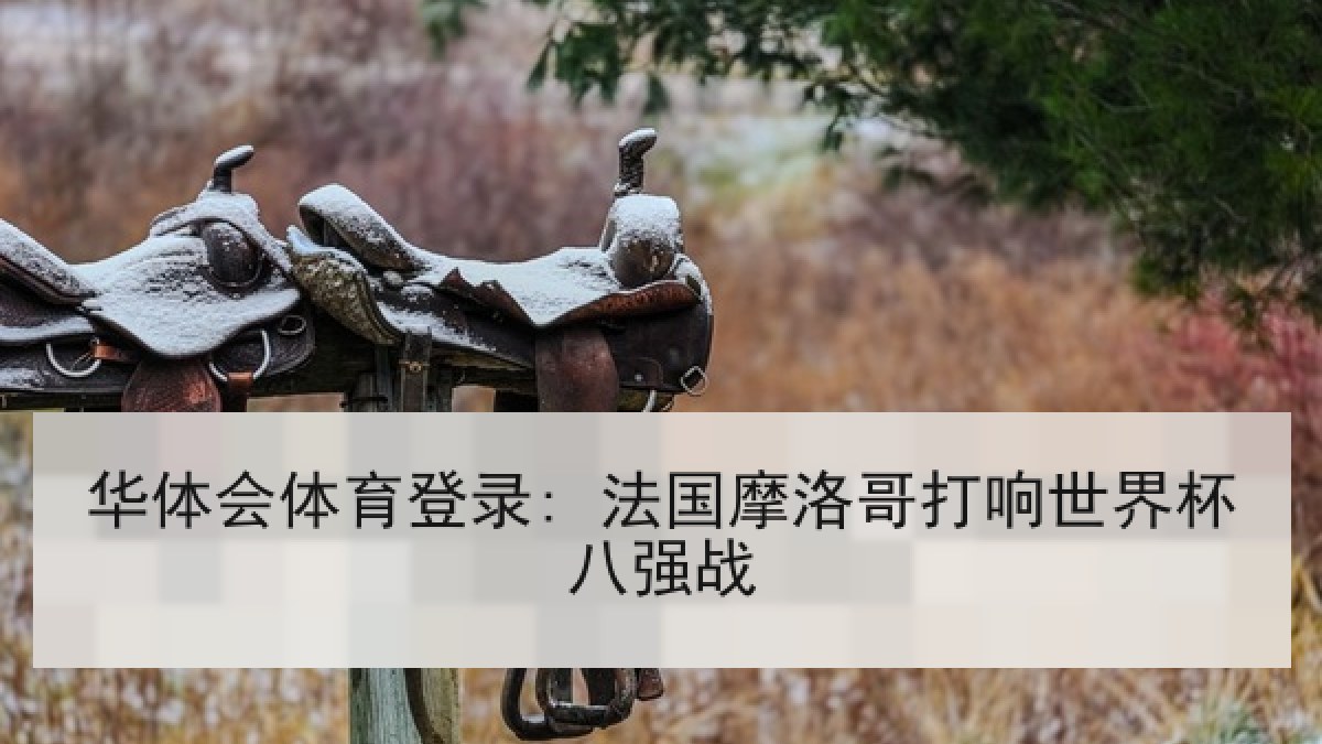 华体会体育登录: 法国摩洛哥打响世界杯八强战 华体会体育登录: 法国摩洛哥打响世界杯八强战
