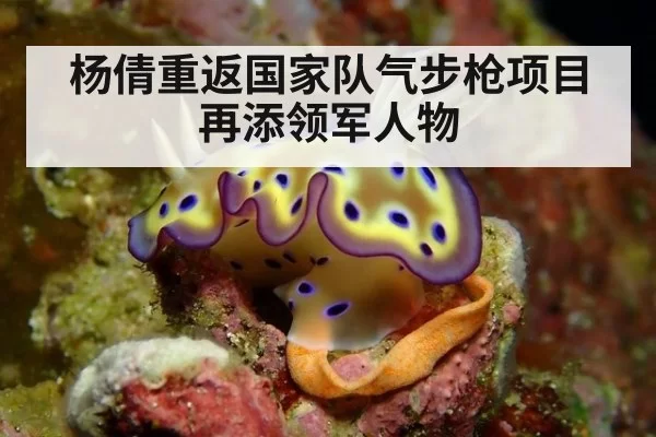 杨倩重返国家队气步枪项目再添领军人物